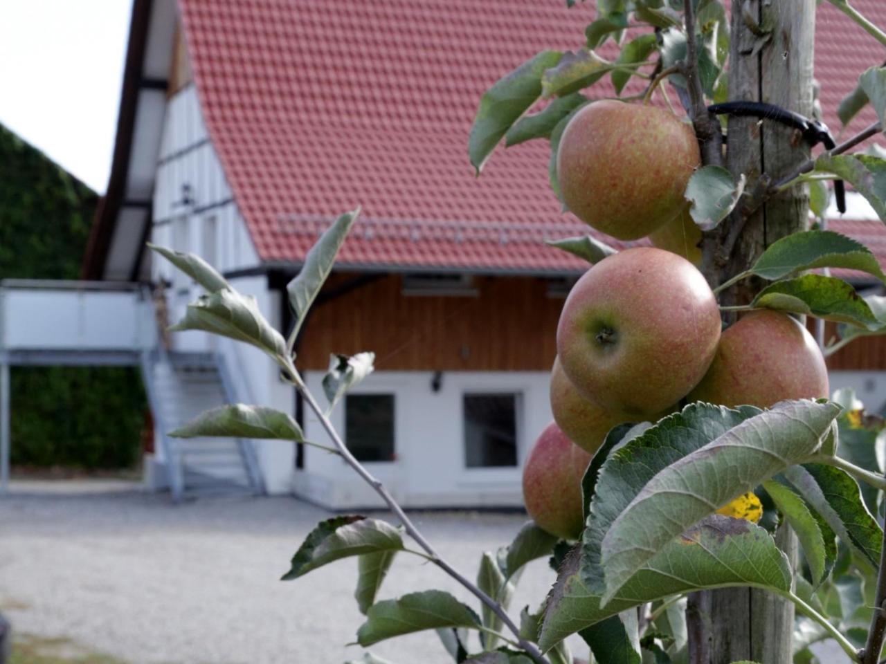 Ferienhof Waggershauser FDH Exteriör bild