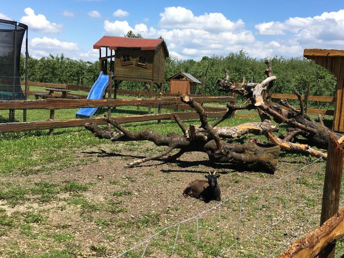 Ferienhof Waggershauser FDH Exteriör bild
